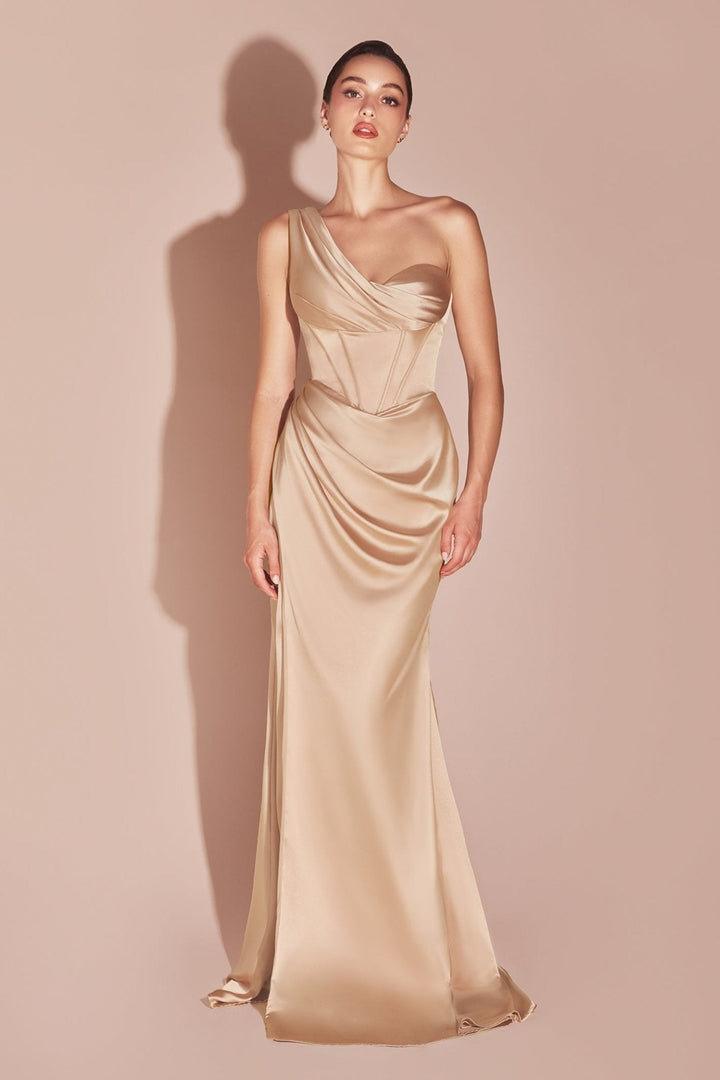 Cinderella Divine  7448 Dress - FOSTANI.com