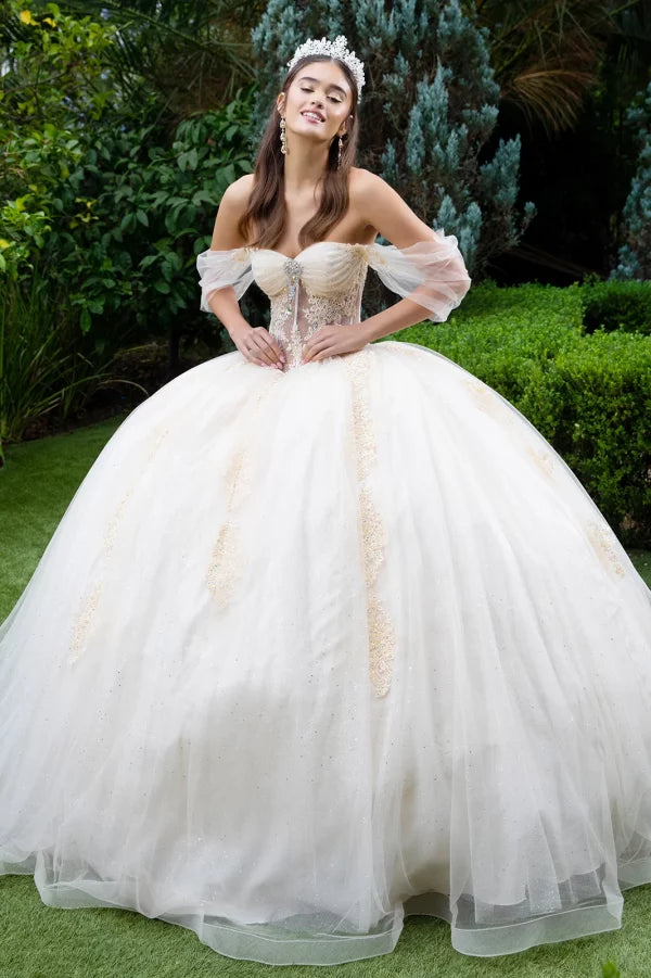GLS Collective GL3502 Sheer Lace Glitter Quinceañera Dress