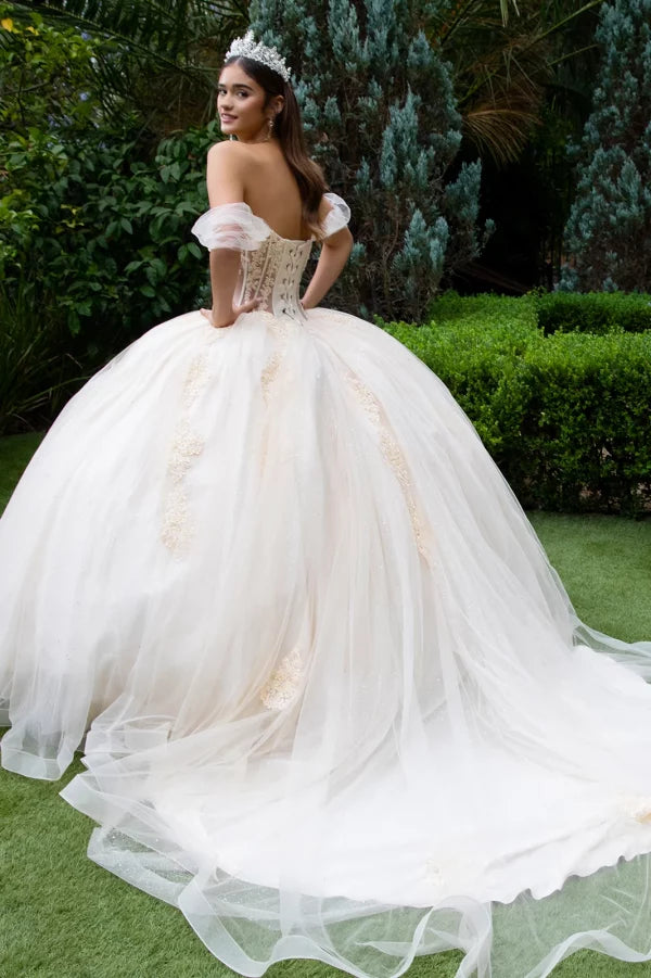 GLS Collective GL3502 Sheer Lace Glitter Quinceañera Dress