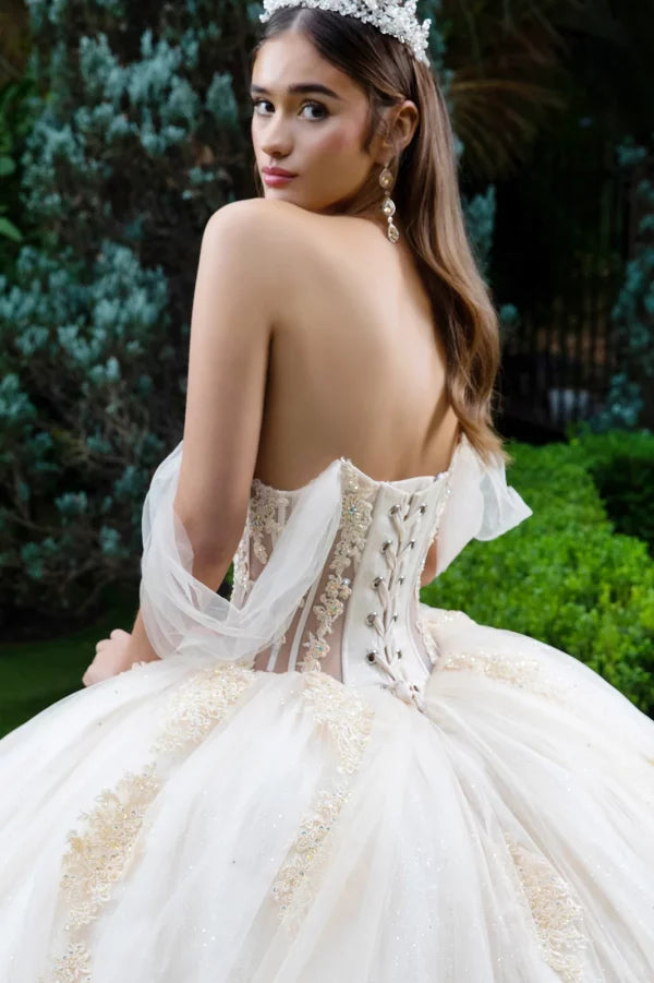 GLS Collective GL3502 Sheer Lace Glitter Quinceañera Dress