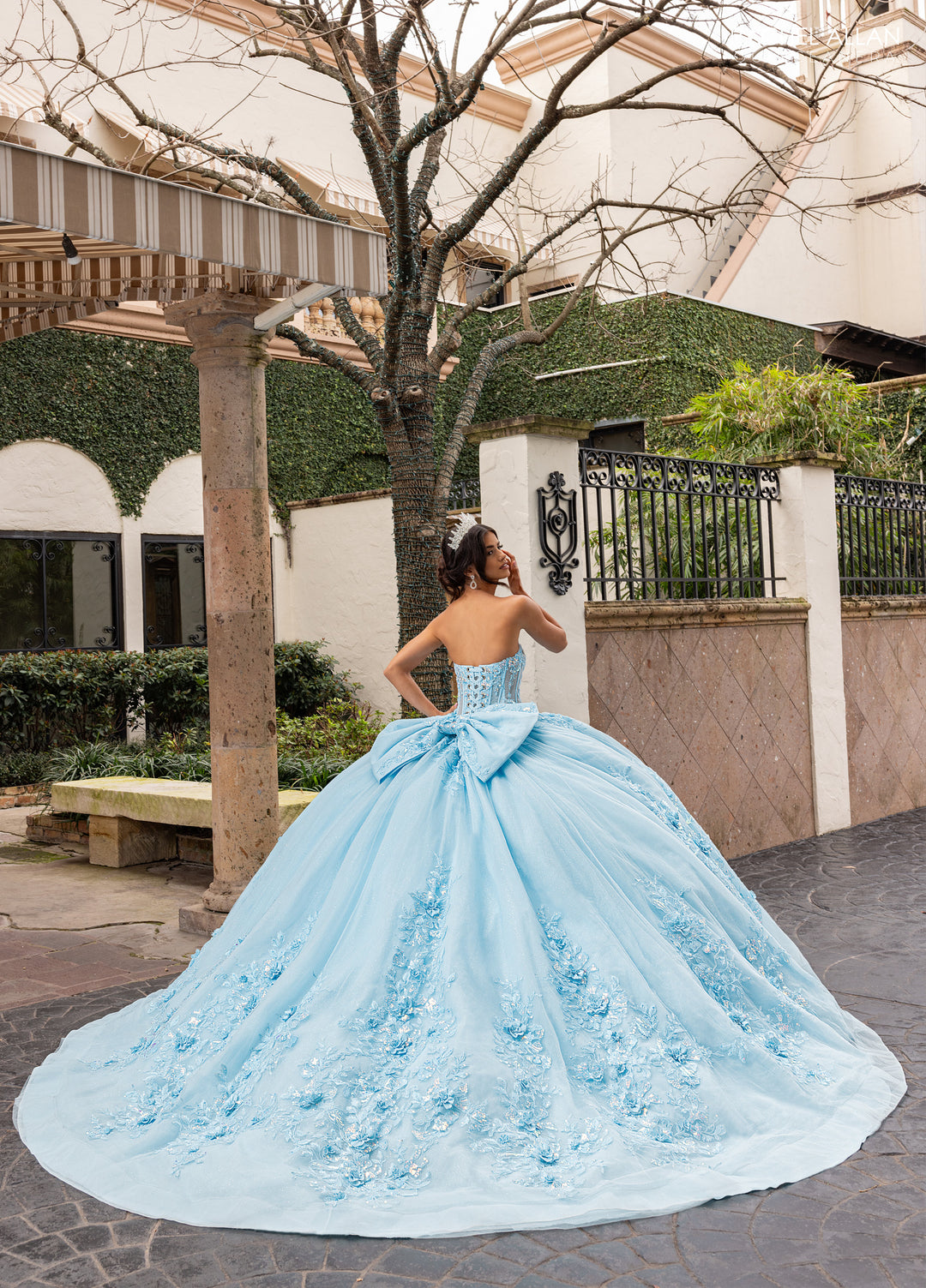 Rachel Allan RQ1168 Dress