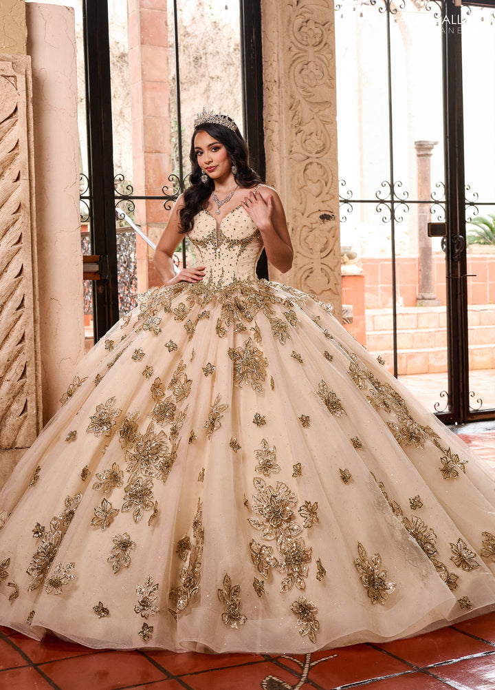Rachel Allan RQ1149 Dress