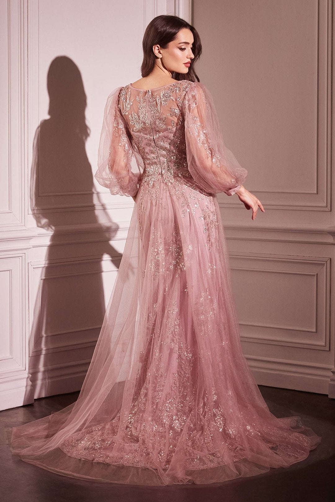 Cinderella Divine CD0102 Dress - FOSTANI.com
