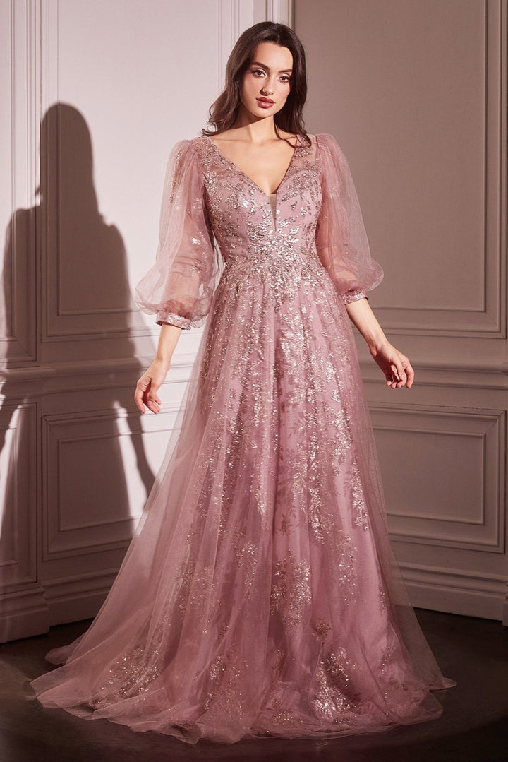 Cinderella Divine CD0102 Dress - FOSTANI.com