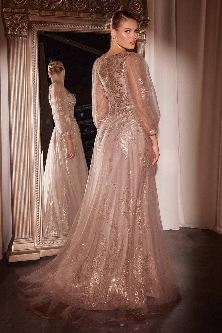 Cinderella Divine CD0102 Dress - FOSTANI.com