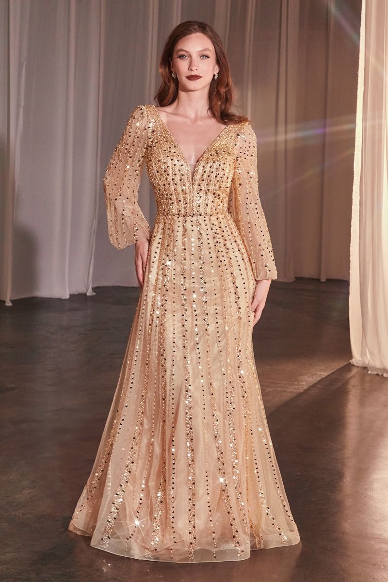 Cinderella Divine CD0240  Dress - FOSTANI.com