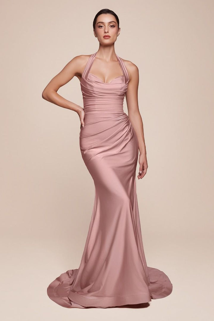 Cinderella Divine CD796 DRESS - FOSTANI.com