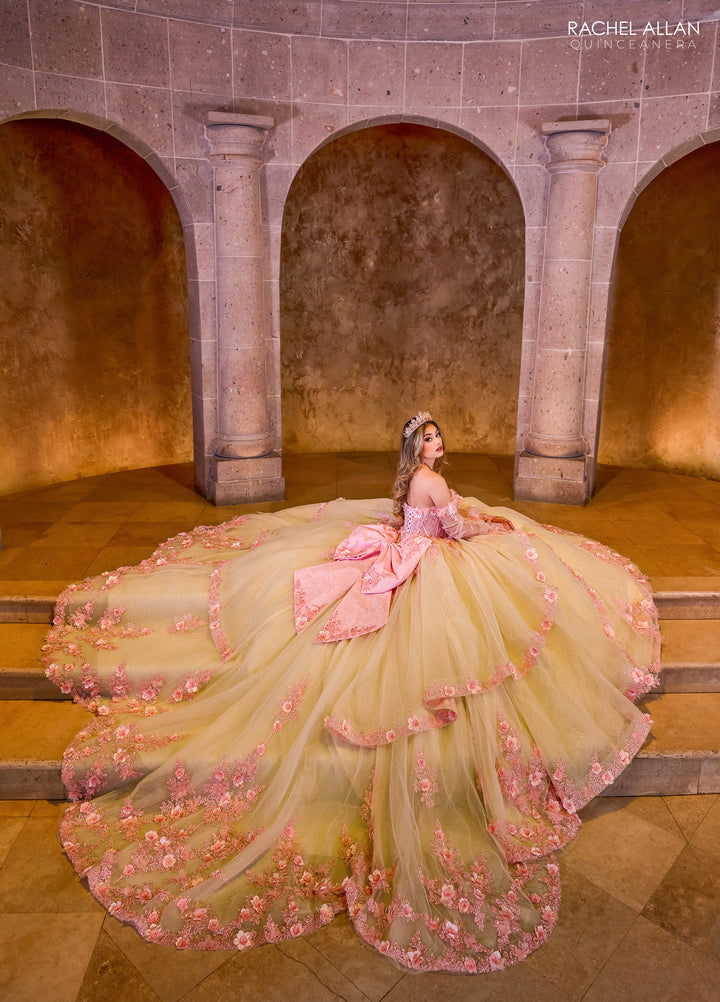 Rachel Allan RQ2196 Dress
