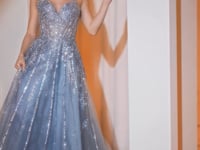 Cinderella Divine  CD786 Dress