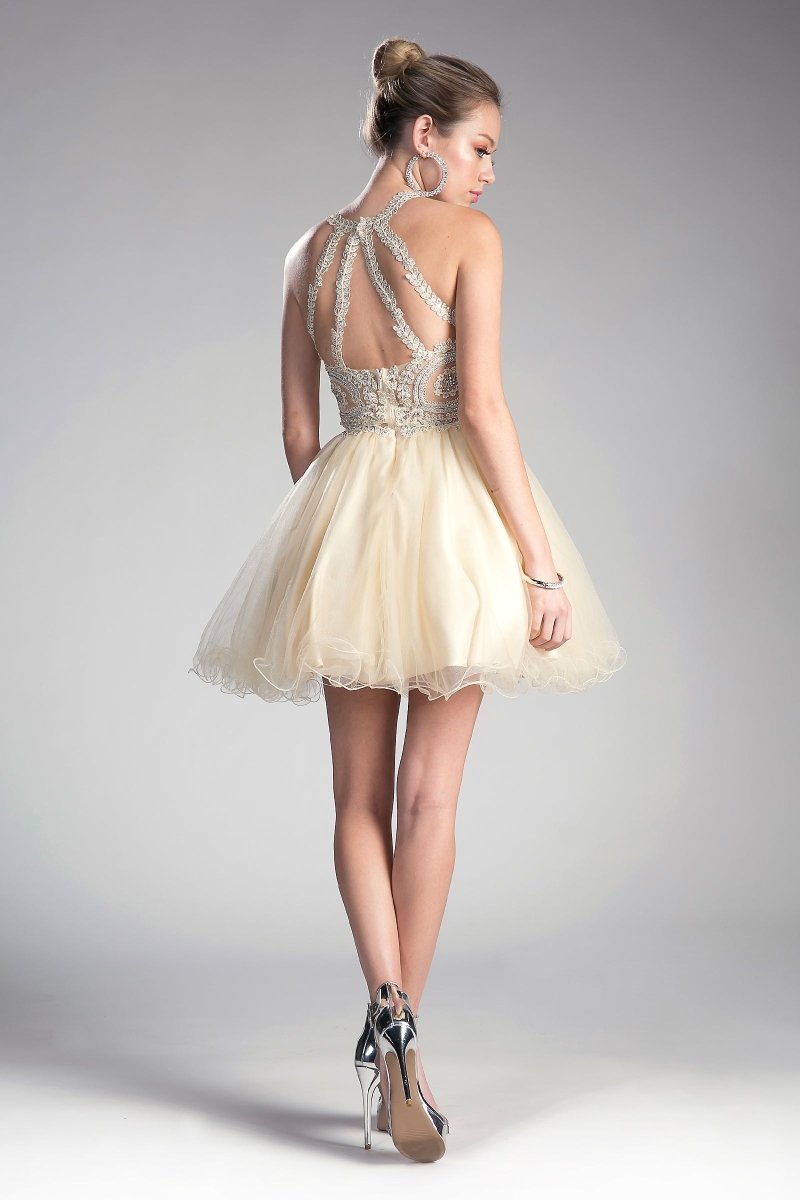 Ladivine UJ0119 Dress