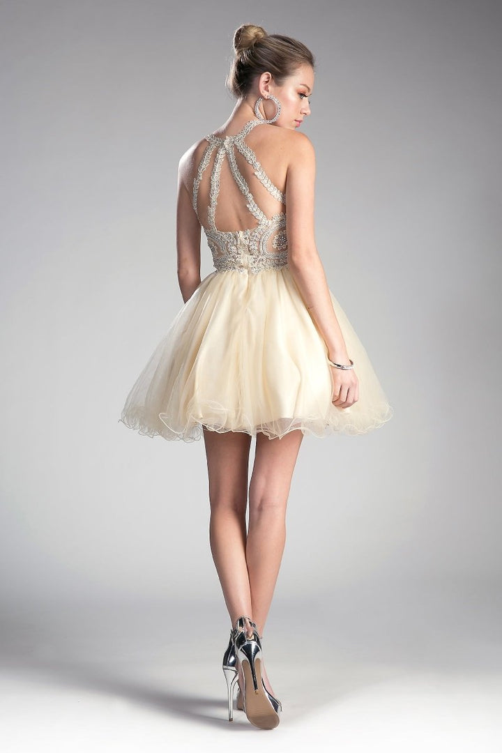 Ladivine UJ0119 Dress