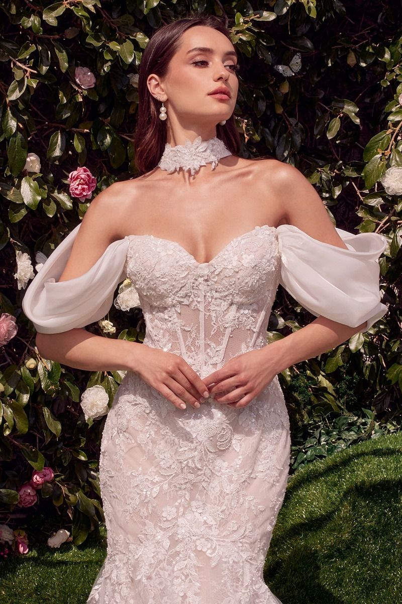ANDREA AND LEO WL031 DRESS - FOSTANI.com