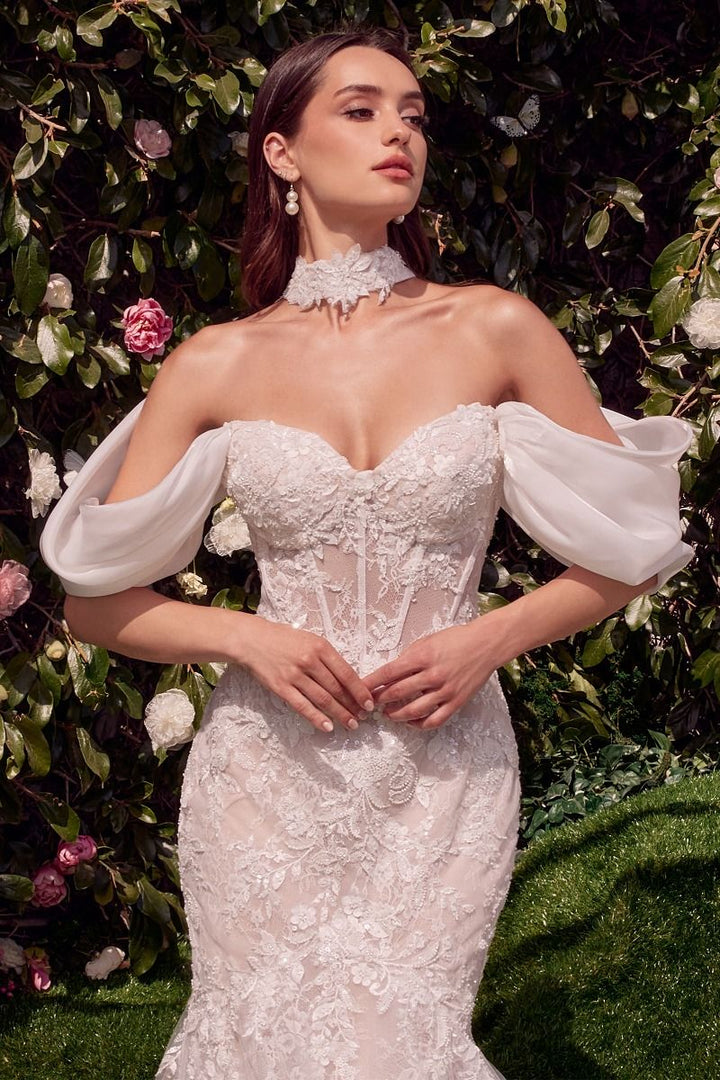 ANDREA AND LEO WL031 DRESS - FOSTANI.com